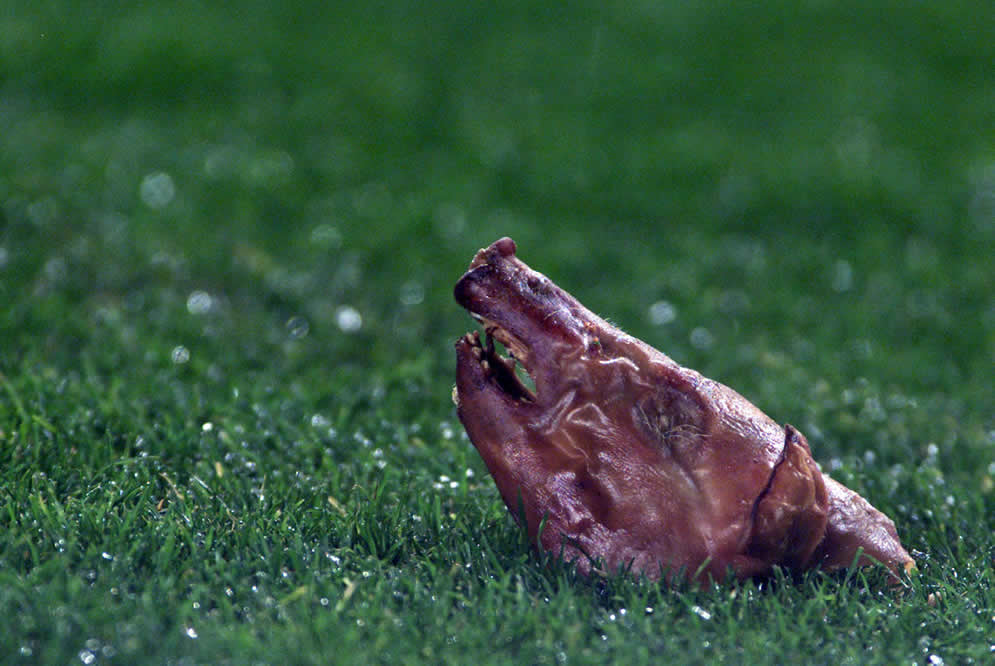 2002_Barcelona_0_Real_Madrid_partido_cochinillo_187270181.jpg