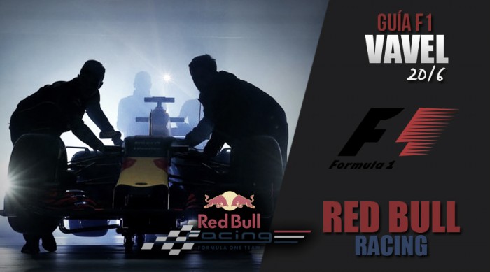 Red Bull Racing: matrimonio por conveniencia