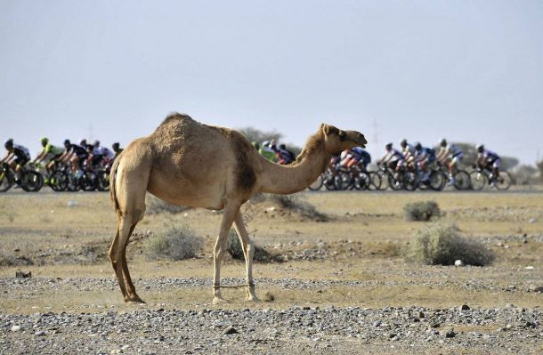 Previa  | Tour de Omán: 4ª etapa, Sultan Qaboos Grande Mosque - Jabal Al Akhdhar