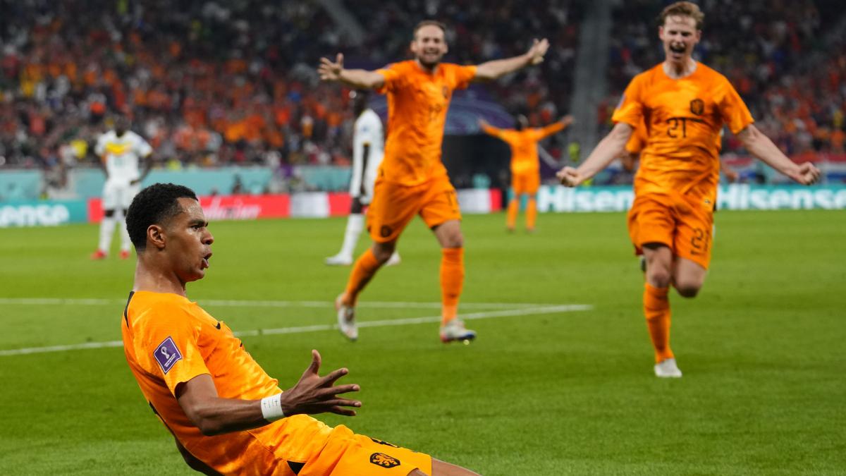 Previa Países Bajos vs Qatar: Un solo favorito en este encuentro