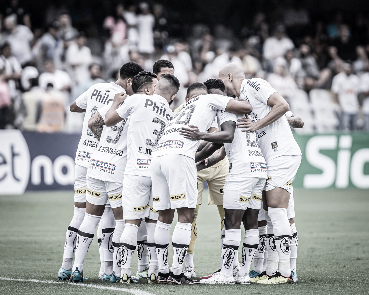 Palmeiras 3 x 1 Santos  Campeonato Paulista: melhores momentos
