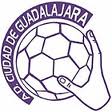Balonmano Guadalajara afila sus armas