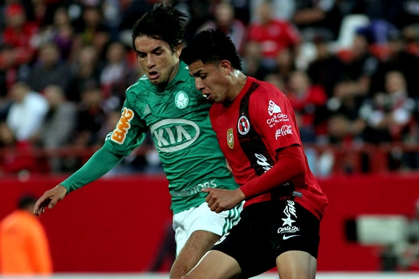 palmeiras tihuana