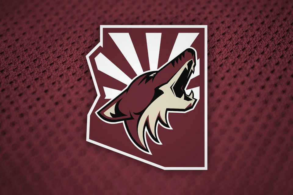 Arizona Coyotes begin a new season