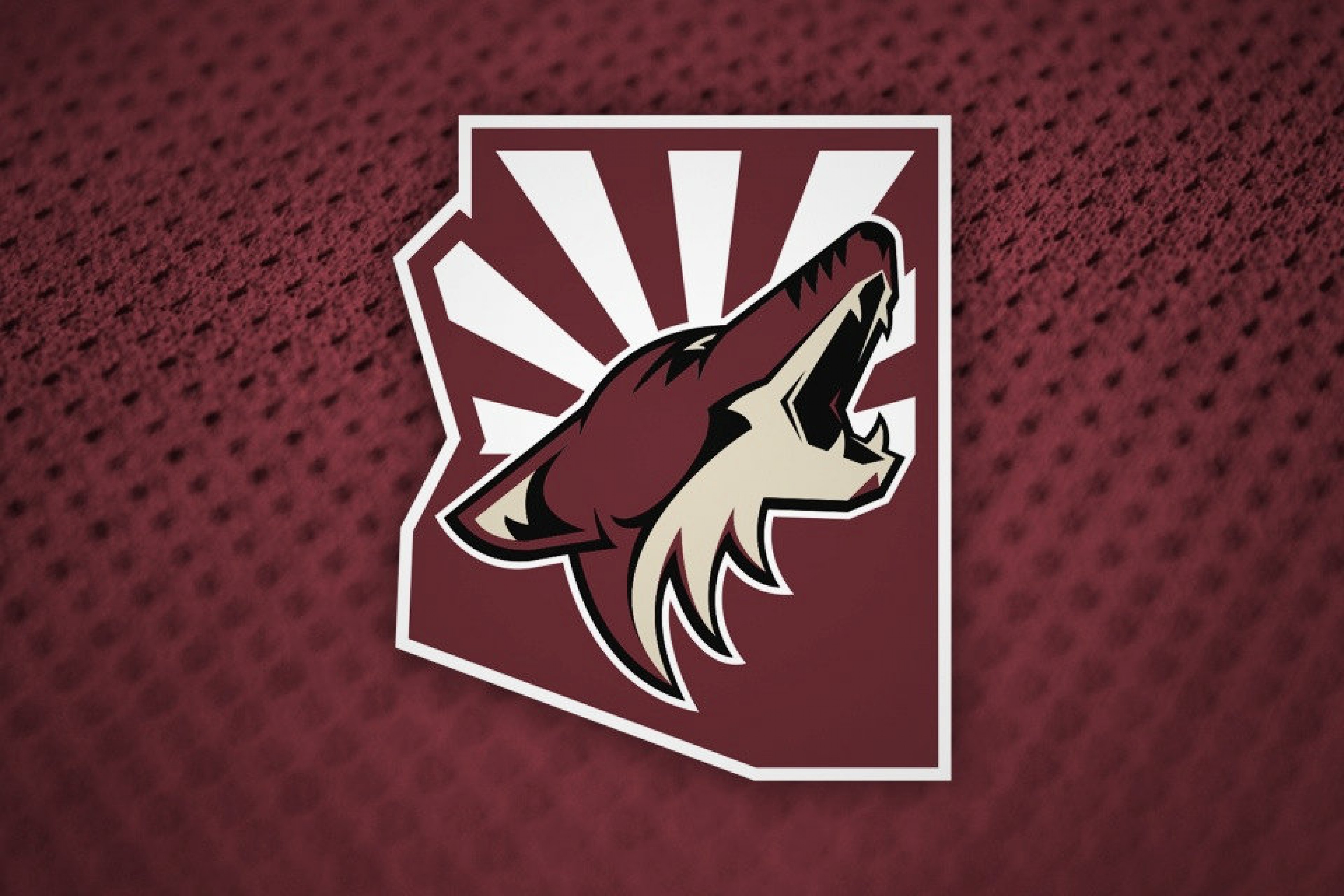 Arizona Coyotes look forward to being a playoff team next season