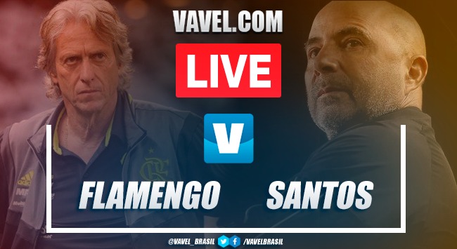 Gol e melhores momentos para Flamengo 1x0 Santos pelo Brasileirão Gol e melhores momentos para Flamengo 1x0 Santos pelo Brasileirão