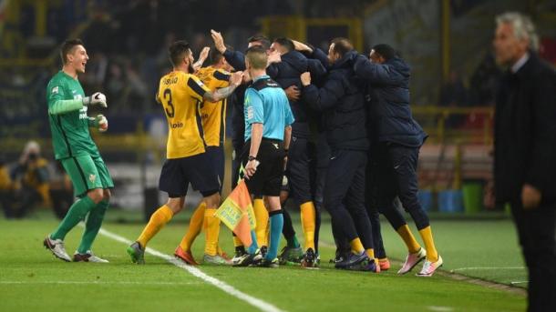 La gioia di tutto l'Hellas dopo il gol di Samir al Dall'Ara. Fonte: LaPresse.