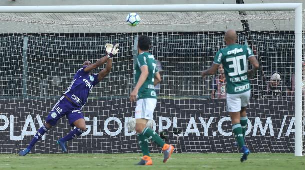 Divulgação / SE Palmeiras