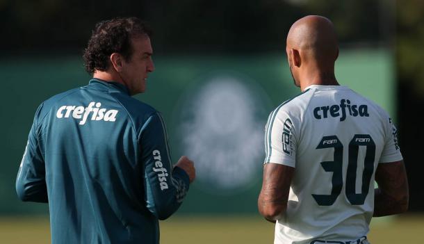 Divulgação / SE Palmeiras