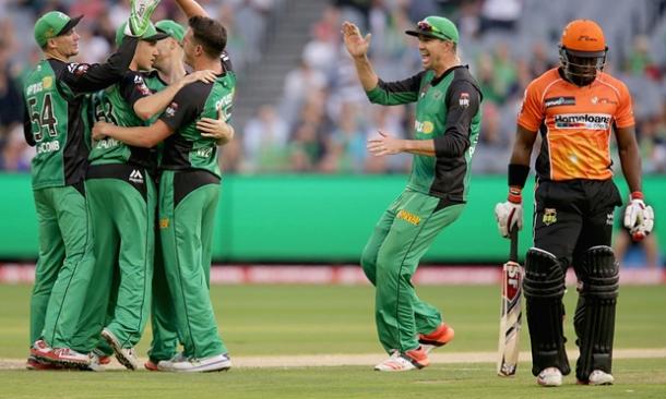 The Stars fielders congratulate Daniel Worrall after the dismissal of Michael Carberry (image via: Darrian Traynor/Getty)