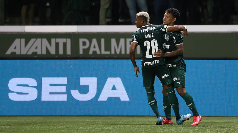 Veron e Danilo comemorando o gol do jogo (Foto: Cesar Greco/Palmeiras)