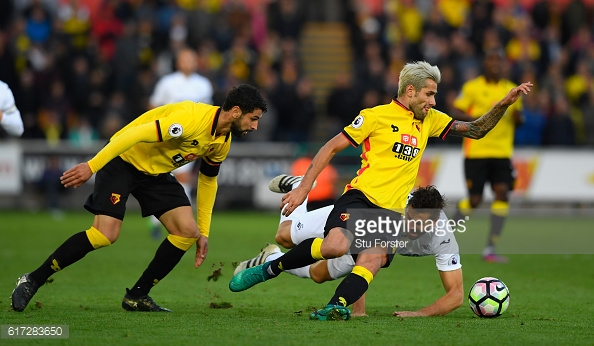 The Hornets have started the season well (Photo: Stu Forster/ Getty Images)