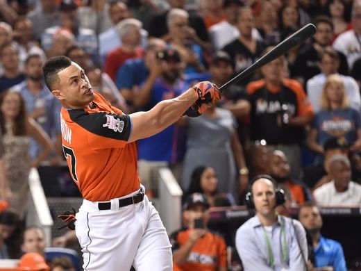 Giancarlo Stanton |Source: Steve Mitchell/USA TODAY Sports|