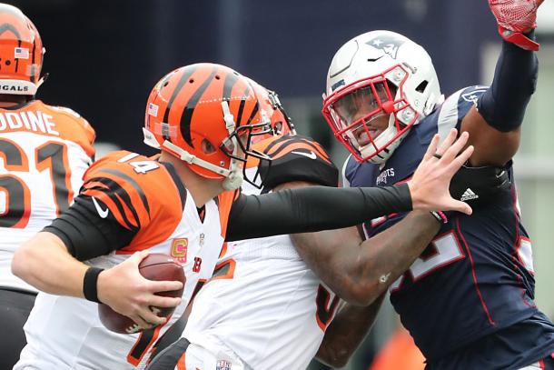 Photo: Cincy Jungle