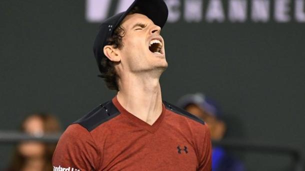 Andy Murray. Fonte: AP