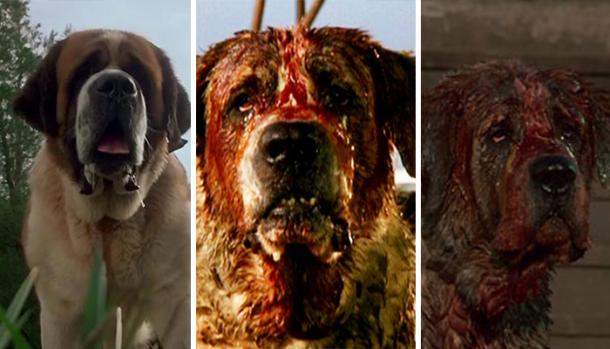 A adaptação para o cinema ratificou o mal personificado em Cujo