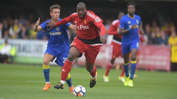 Stefano Okaka led the line for Watford (Photo: Watford FC/ Twitter)