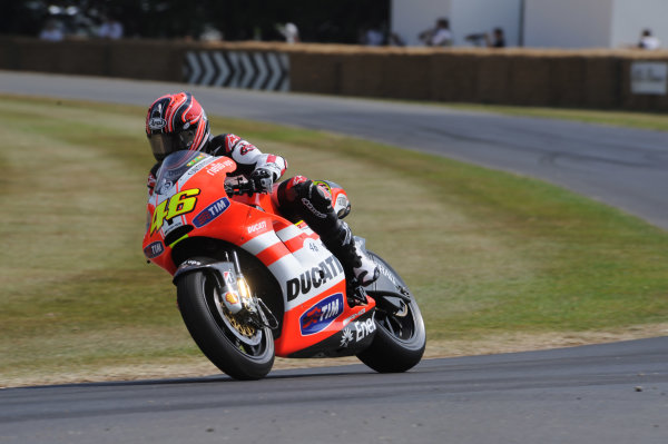 Foto: Lat Image/ Gold and Goose