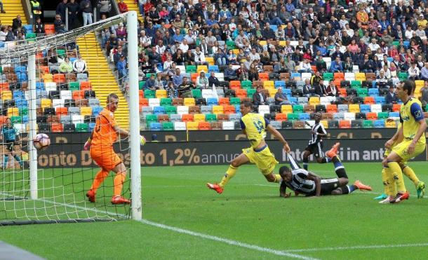 Zapata segna nell'andata contro il Chievo. Fonte: www.facebook.com/UdineseCalcio1896
