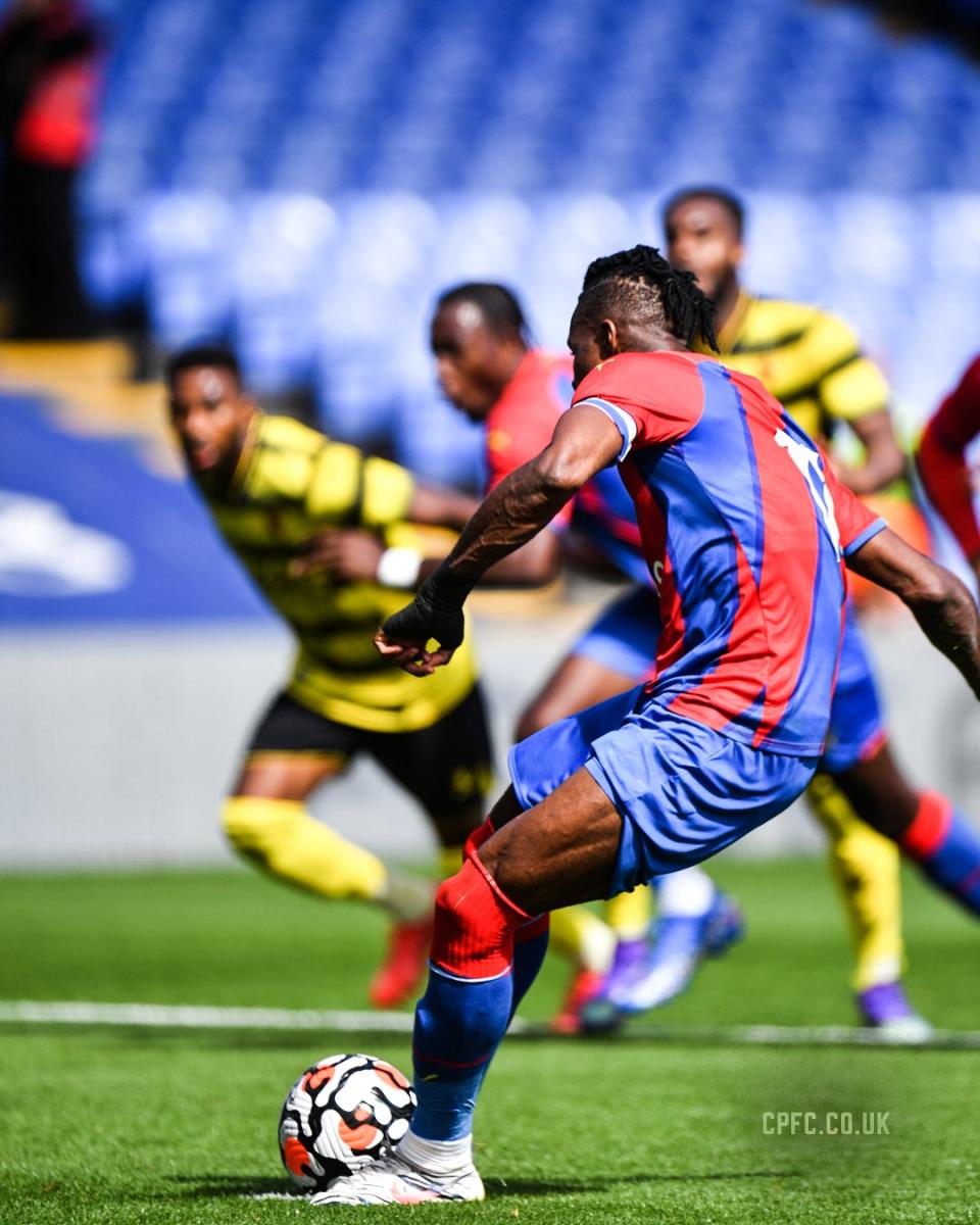 (Photo: Crystal Palace)