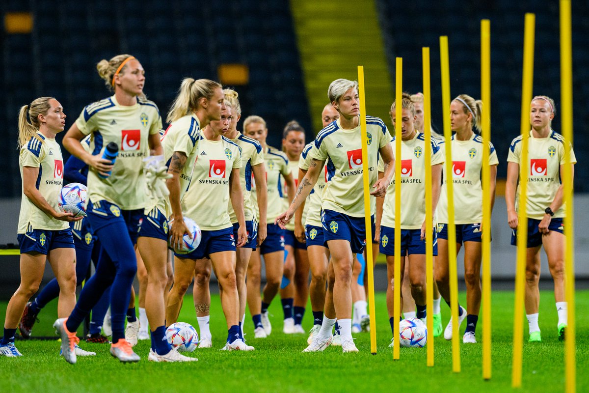 Foto: Divulgação/Associação Sueca de Futebol