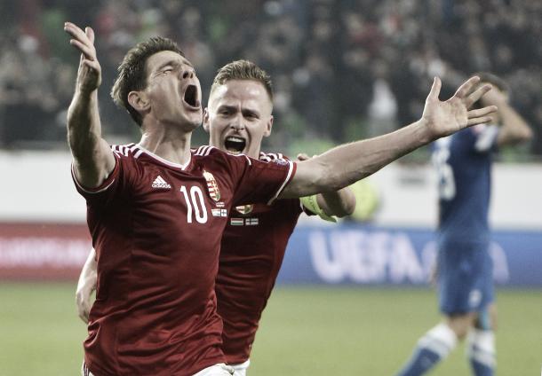 Zoltan Gera celebrates his goal against Finland. 