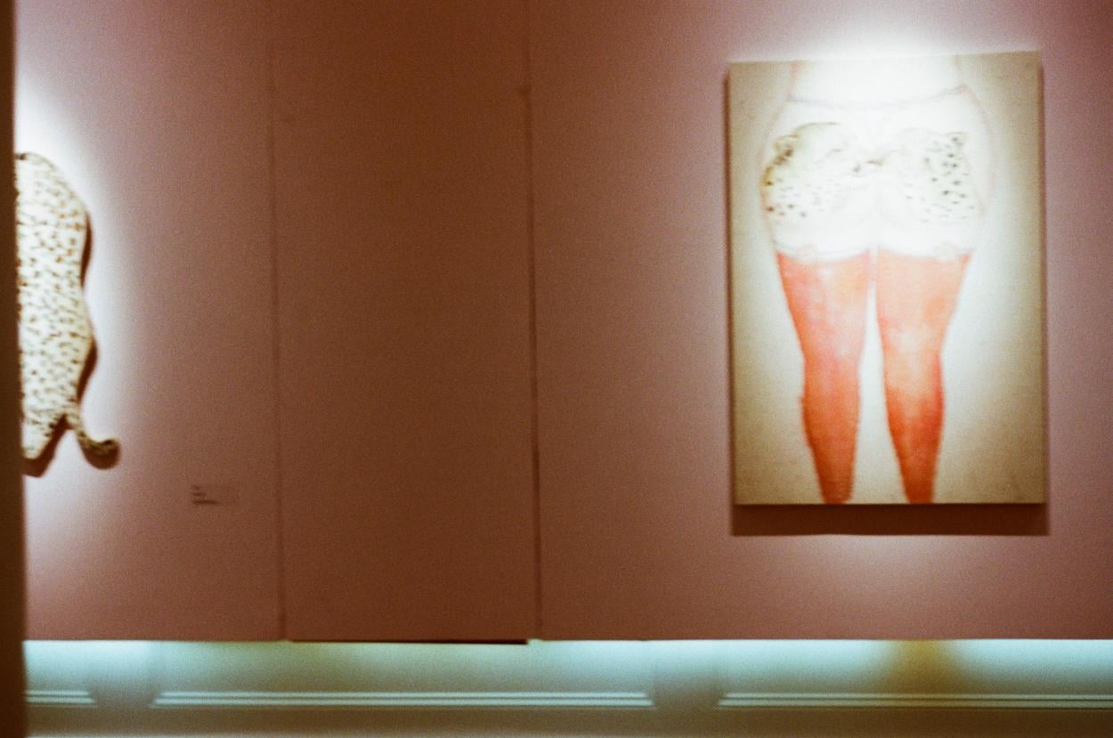 Cuerpos y tigres. Fotografía de Mariana Gil, 2024.