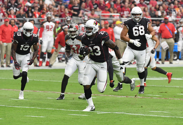 Adrian Peterson #23 of the Arizona Cardinals runs for a 27-yard touchdown against the Tampa Bay Buccaneers. |Source: Norm Hall/Getty Images North America|