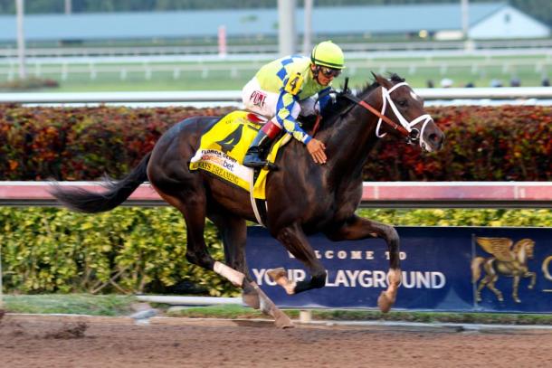 'Always Dreaming' is the big time favorite | Photo: HorseRacingNation