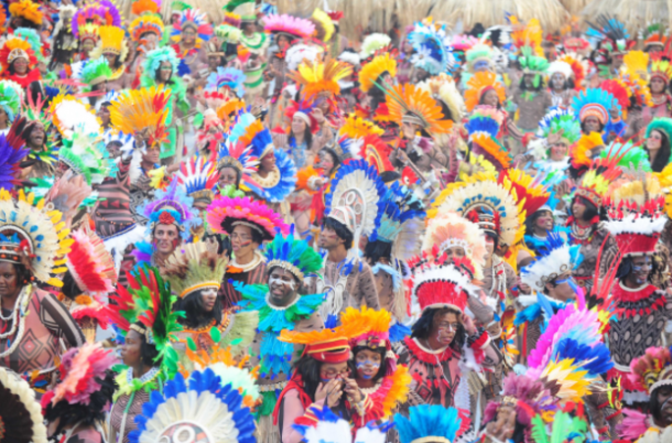 Desfile de 2017 quebrou a estrutura tradicional de divisão por alas. Foto: Blog Cristiano Alvarenga