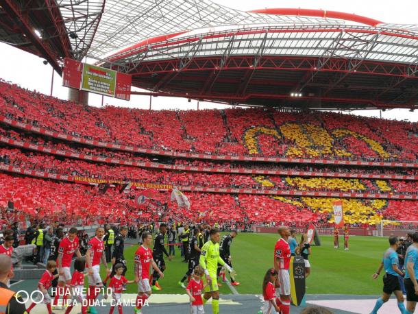 Foto: Benfica
