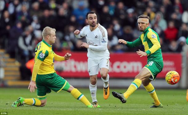 Leon Britton is battling a foot injury to keep Swansea in the Premier League (photo: PA)