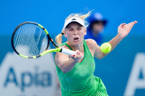 Wozniacki is searching for her first title in Sydney (Photo by Brett Hemmings / Getty Images)