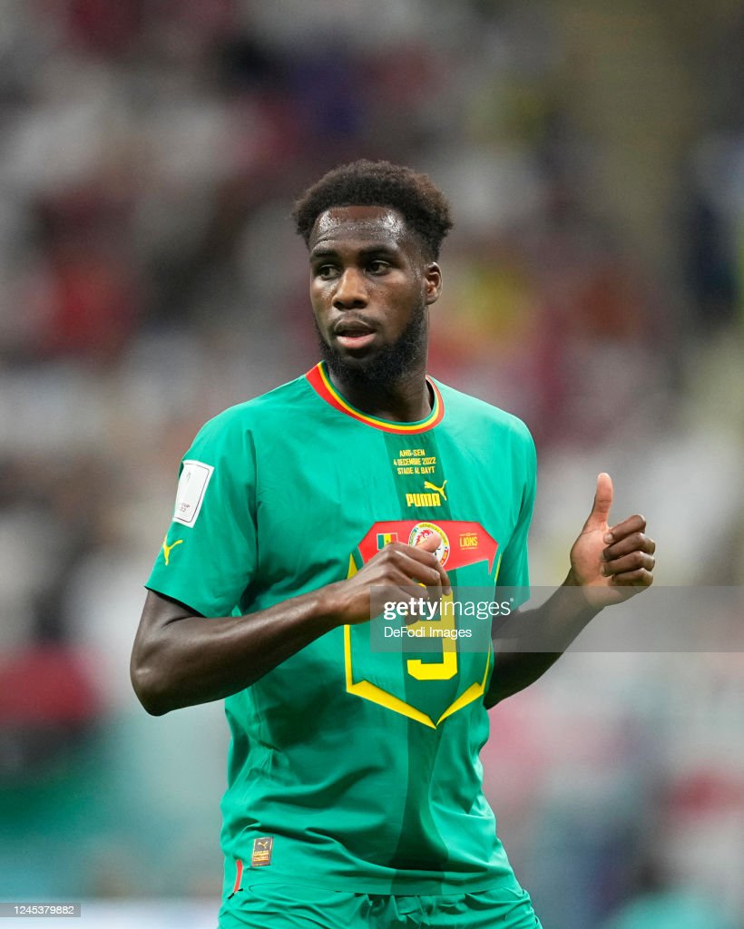 Boulaye Dia for Senegal in the world cup - DeFodi Images