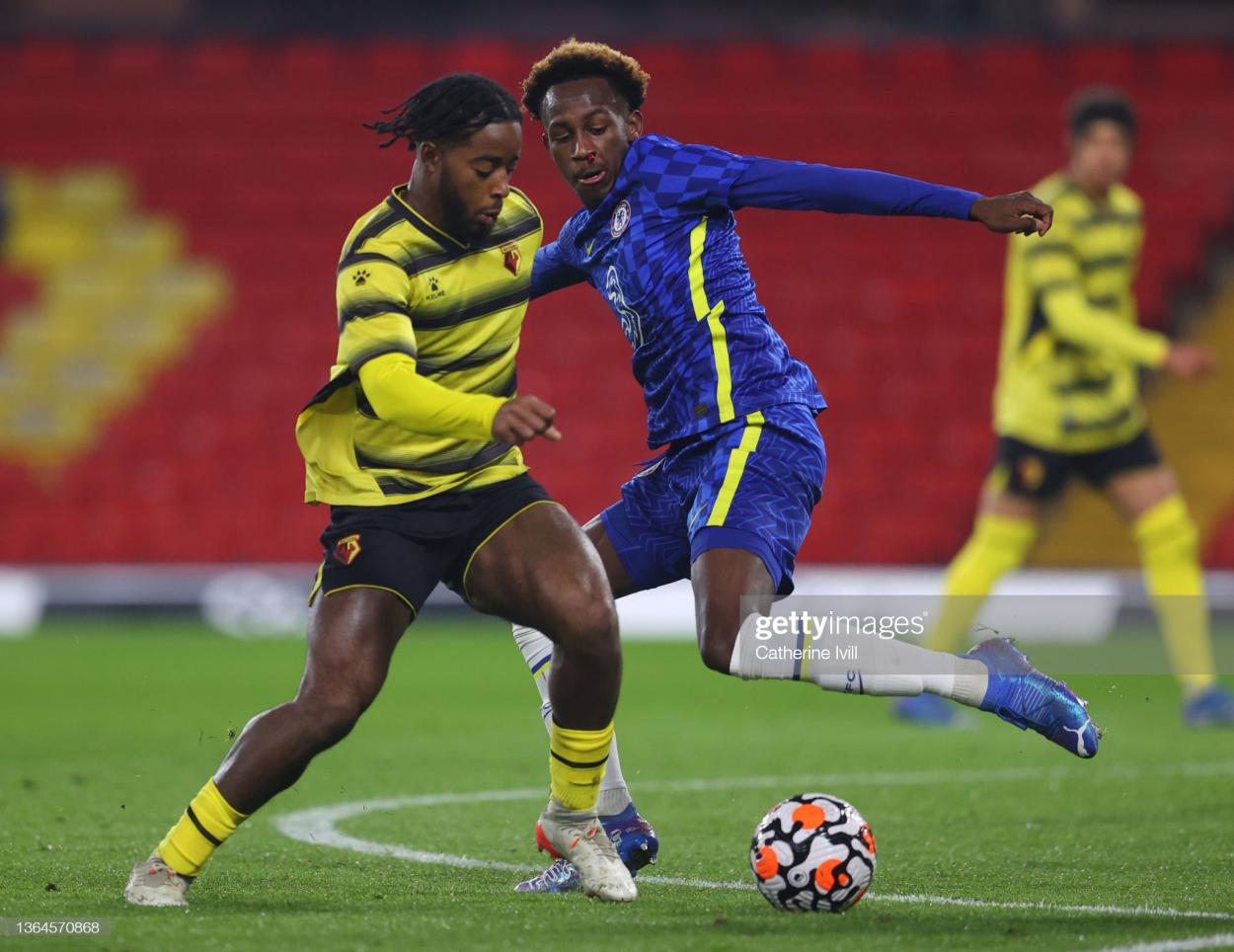 York's super striker Shaq Forde on the ball for parent club Watford (Photo by Catherine Ivill/Getty Images)