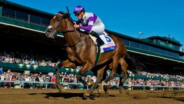 'Irap''s jockey has already won this race 3 times | Photo: HorseRacingNation