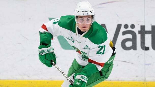 Nils Höglander in action for Rögle, (Photo: Hockeysverige.se)