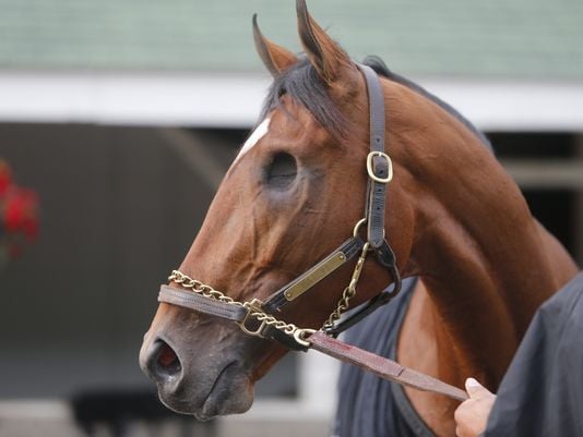 'Patch' is owned by Calumet Farm | Photo: HorseRacingNation