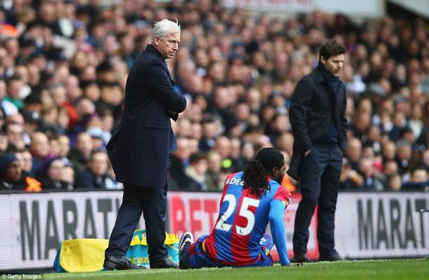 Pochettino, in the background, was beaten by Pardew (photo: getty)