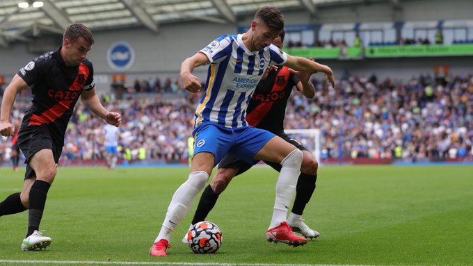 Jakub Moder in the Brighton vs Everton game | Photo: Brighton & Hove Albion