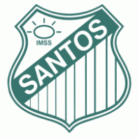 Club Santos Laguna | Biografía y Wiki | VAVEL México