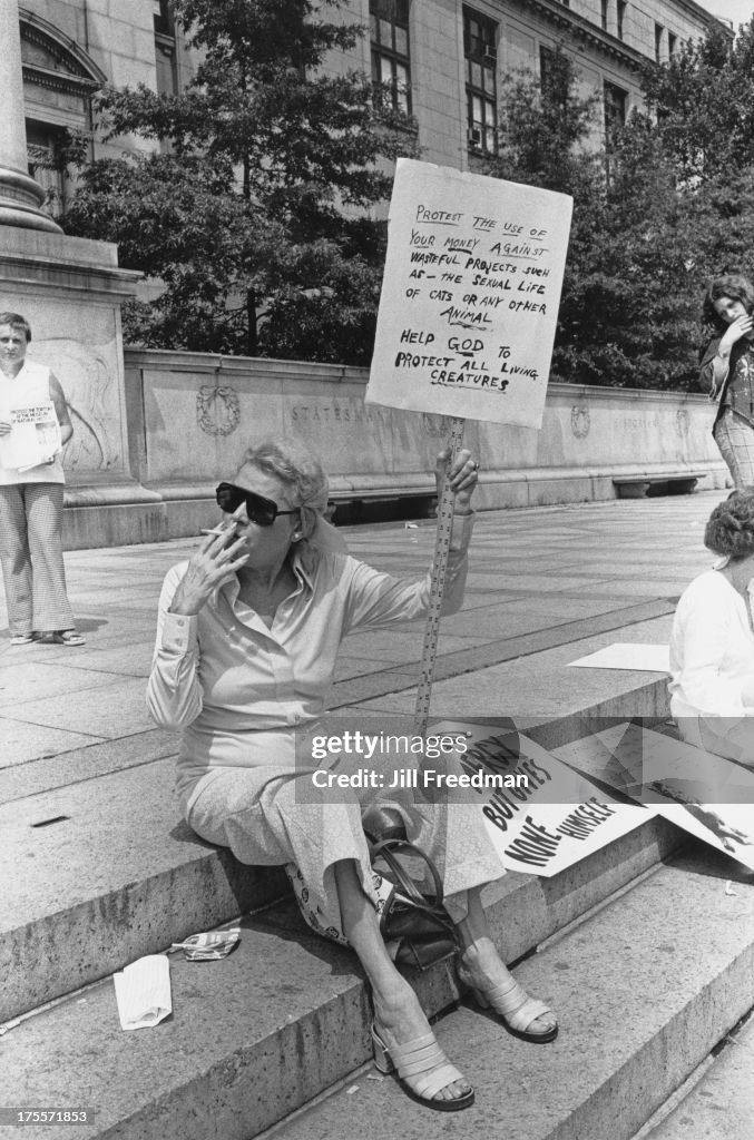  Protesta por el bienestar animal  Manifestantes por el bienestar animal frente al Museo Americano de Historia Natural, Ciudad de Nueva York, 1976. La manifestación fue organizada por Henry Spira para protestar contra la investigación de pruebas en animales que se estaba llevando a cabo sobre la vida sexual de los gatos. (Foto por Jill Freedman/Getty Images)