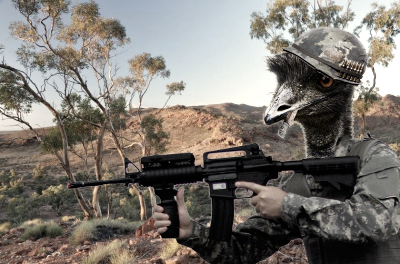 Soldado Emú en plena emboscada, Fuente: Wikicommons