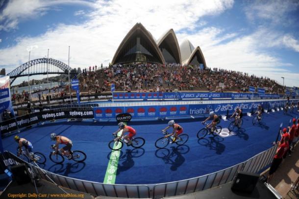 Triatlón olímpico en Sidney. Foto: triathlon.org
