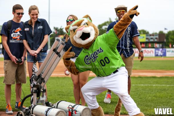 Ozzie strikes a pose during MiLB baseball game between the Kane County Cougars - the Wisconsin Timber Rattlers at Fifth Third Bank Ballpark in Geneva, IL June 12, 2016