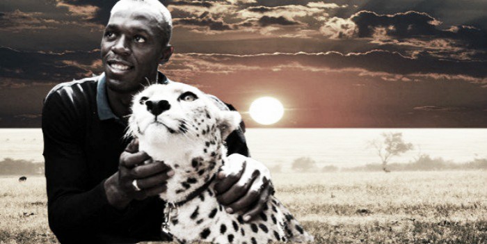 Usain Bolt, la escena de la presa y el depredador
