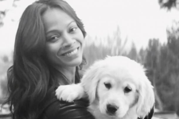 Zoe Saldana sustituye a Kate Moss