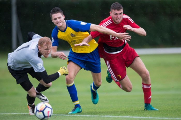 Saint Albans City sign Watford's Harvey Bradbury on loan