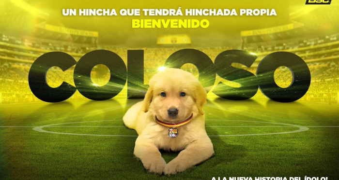 'Coloso', la mascota OFICIAL del club 'canario'. Foto: Barcelona S.C.