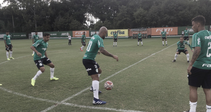 Foto: Divulgação/ SE Palmeiras 